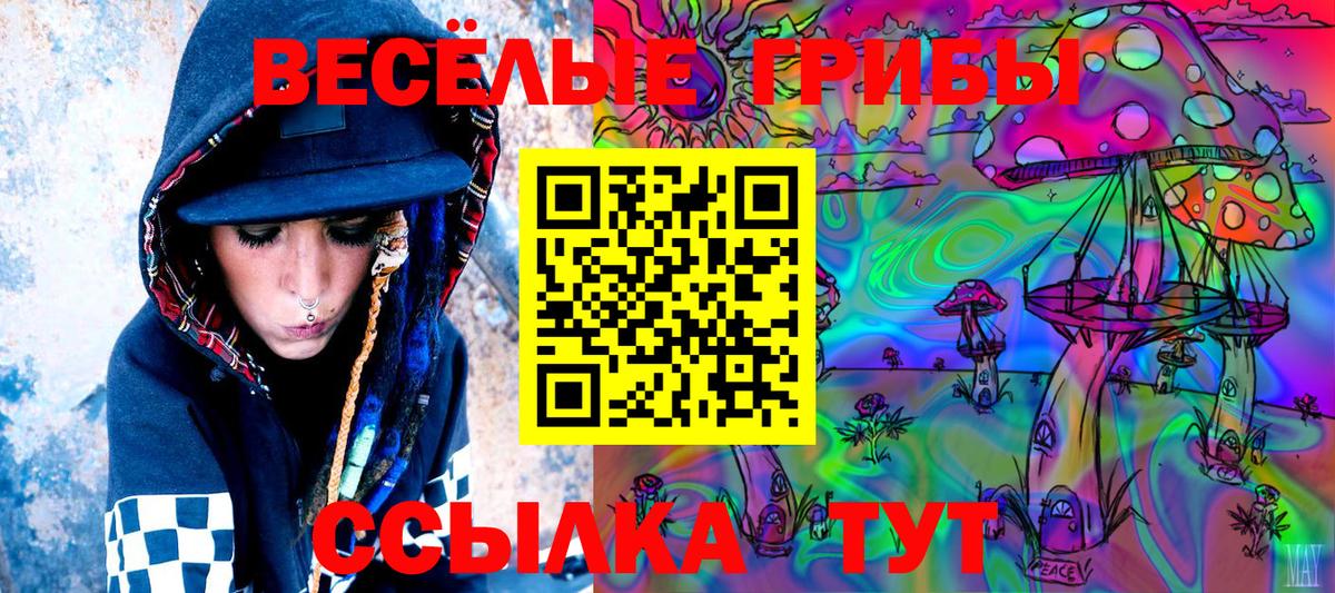 Псилоцибиновые грибы Psilocybe  Псилоцибиновые грибы ЛСД  Сертолово  Вход с VPN 