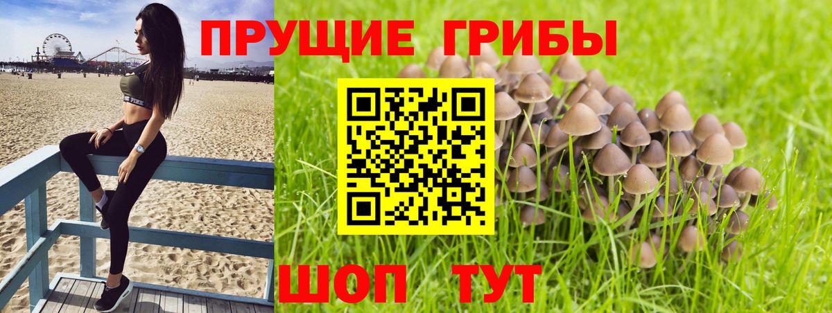 Галлюциногенные грибы MAGIC MUSHROOMS Сертолово